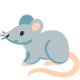 :rat: