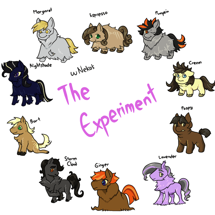 TheExperimentPonies