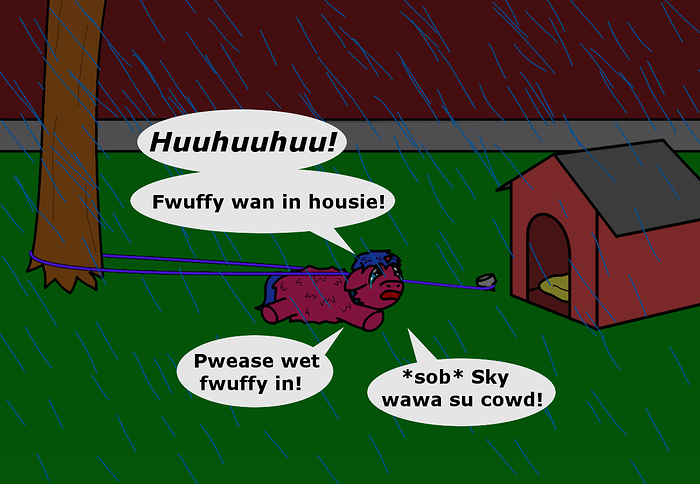 Fluffy in rain