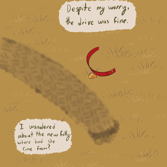 page 10 and a half