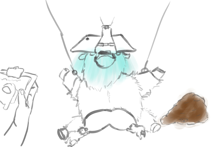 FlufInt1