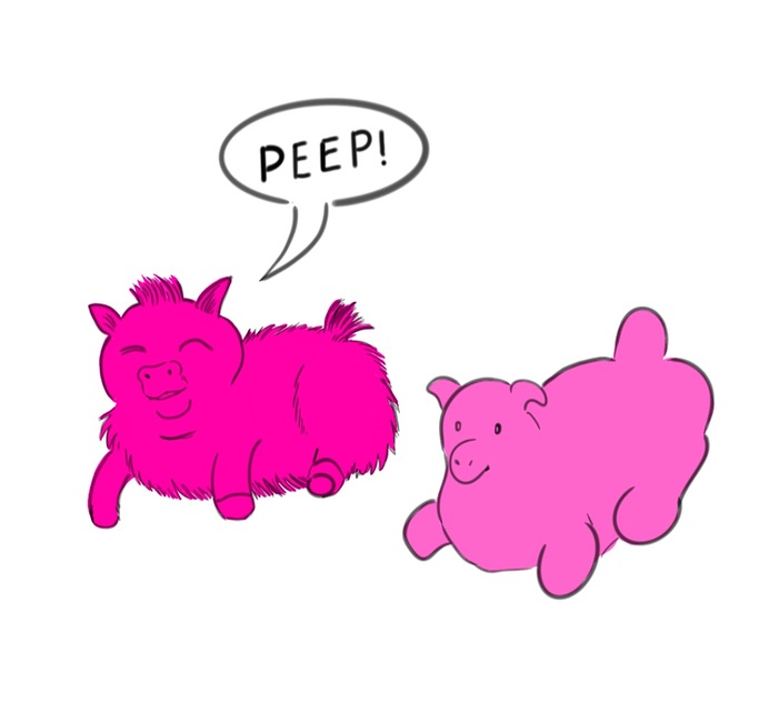 Chirpy_Shaped_Peeps