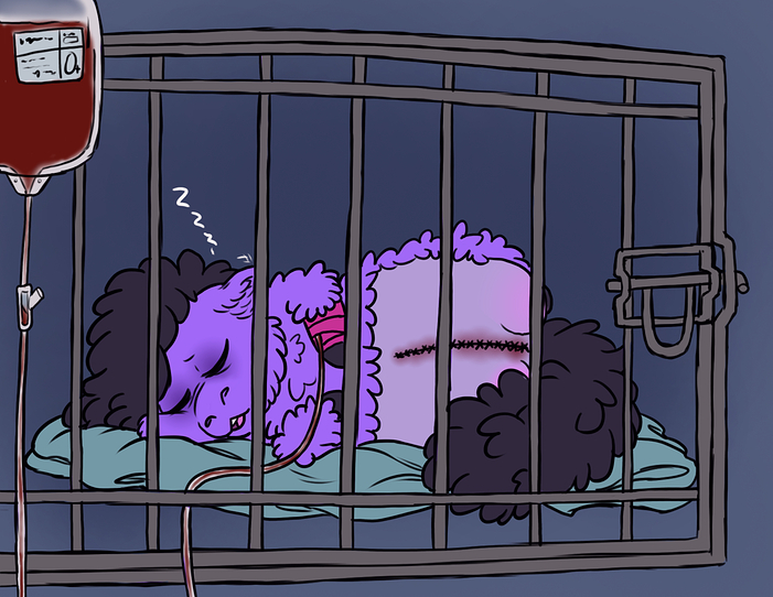 Bad Mummah ch 8 10 6-28-2024