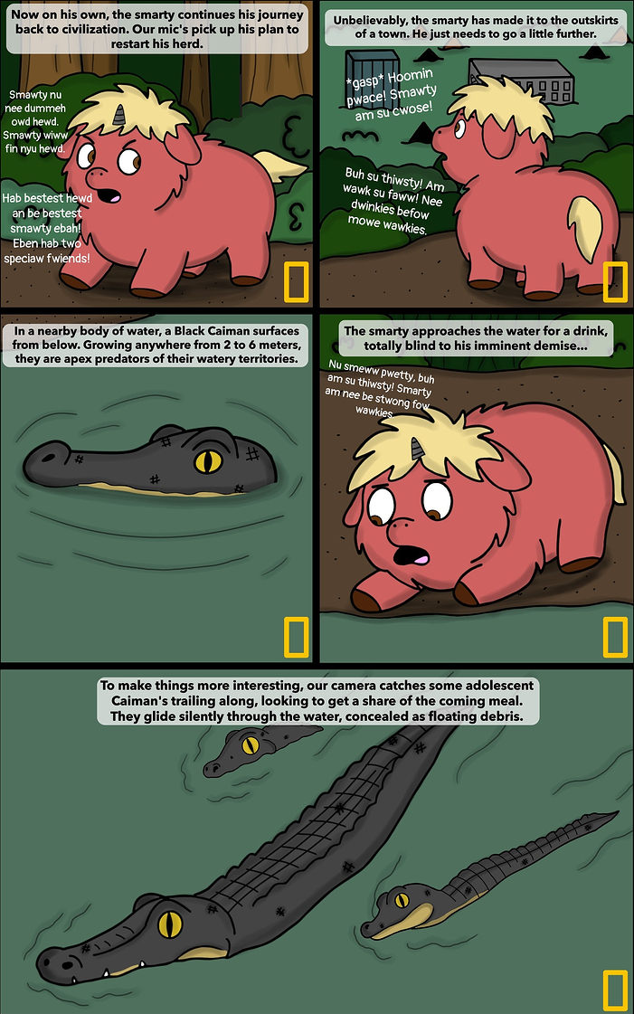 Caiman 1 (1)