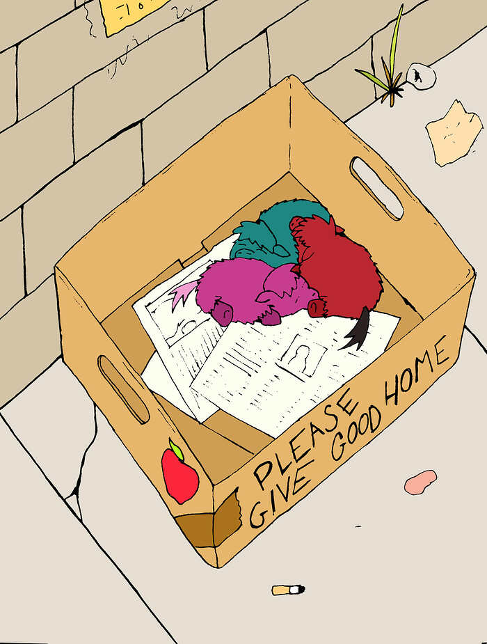 6931 - artist_coalheart cardboard_box foal foals foals_in_a_box safe