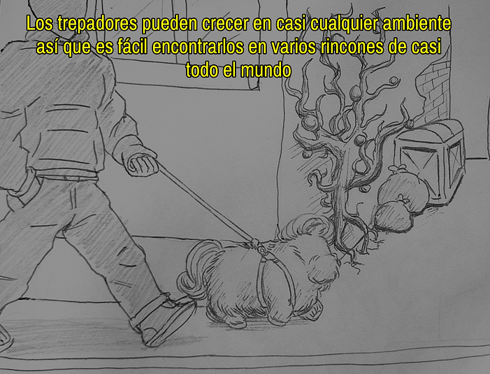 AddText_06-11-07.26.34