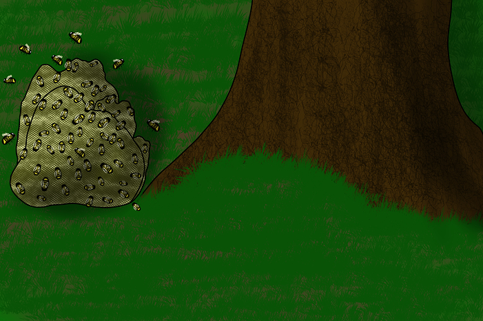 36167032-33ee-4135-a868-743f36137f54