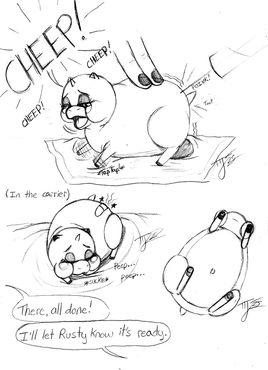 ChirpyCheckup3