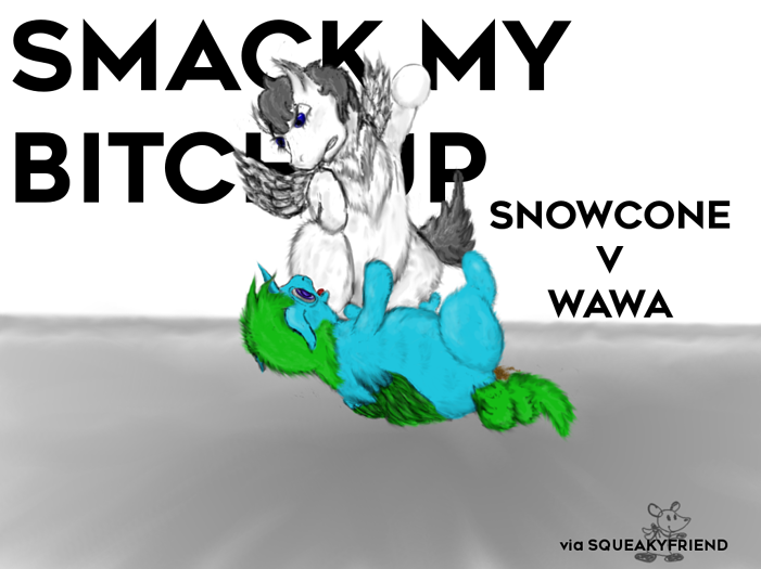 Snowcone V Wawa