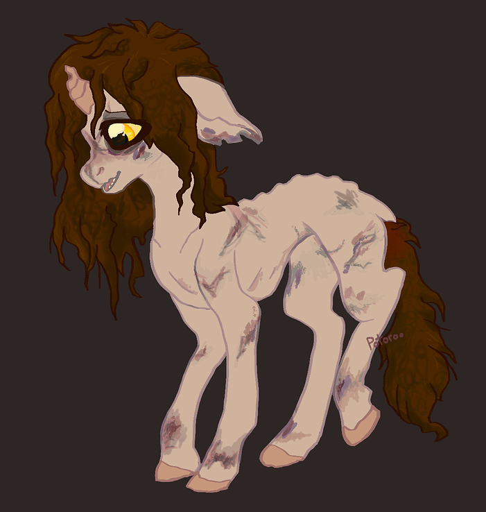 Photo Oct 24 2025, 9 23 57 PM