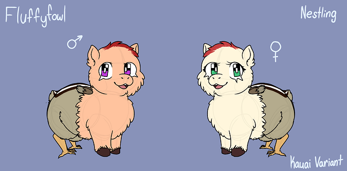 Untitled884_20260216082911