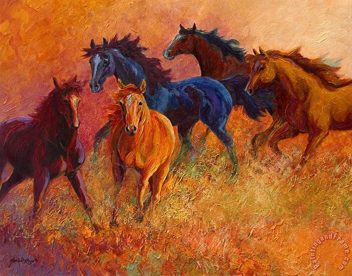 free_range_wild_horses-17636