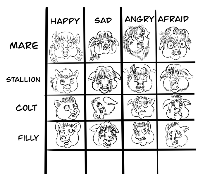 facial_expressions_practice