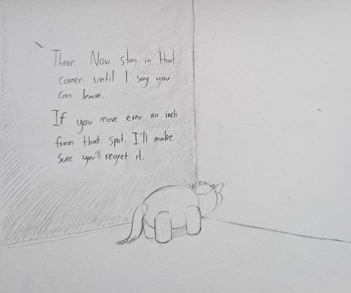 PXL_20260117_233544273