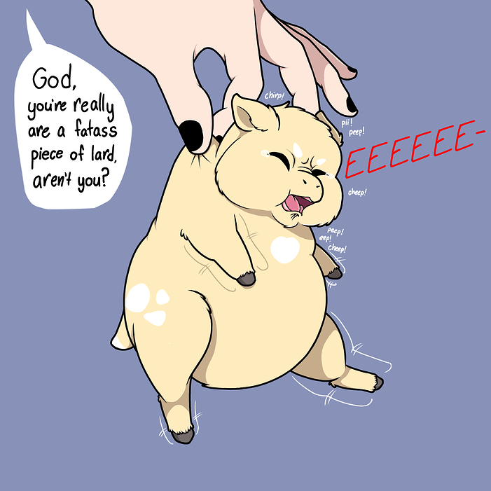 Untitled886_20260204004031