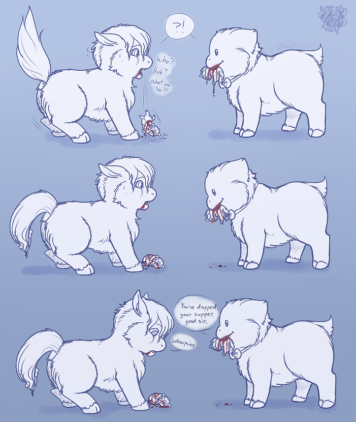 fluffies - first meet