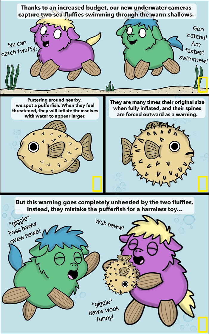 Puffer 1(1)