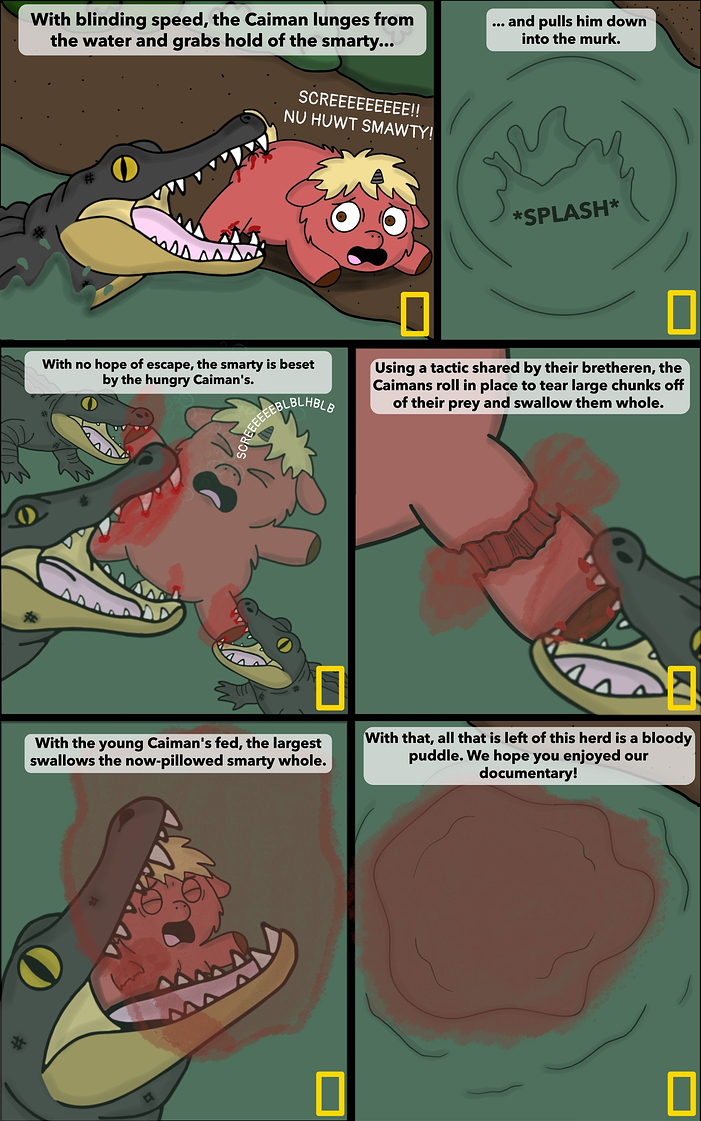Caiman 2 (1)