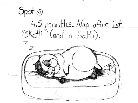 SpotSkettyComa
