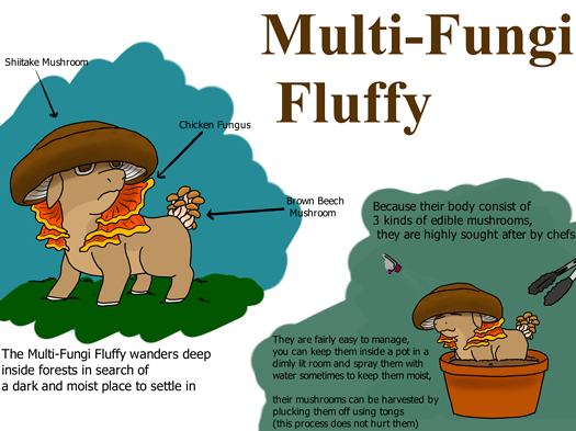 multi-fungi fluffy