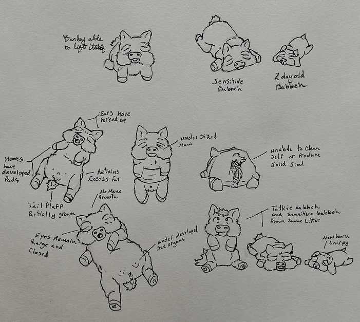 IMG_20250819_002209634_HDR