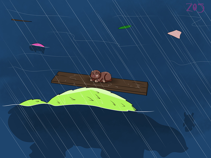 Floods