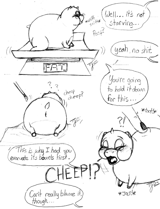 ChirpyCheckup2
