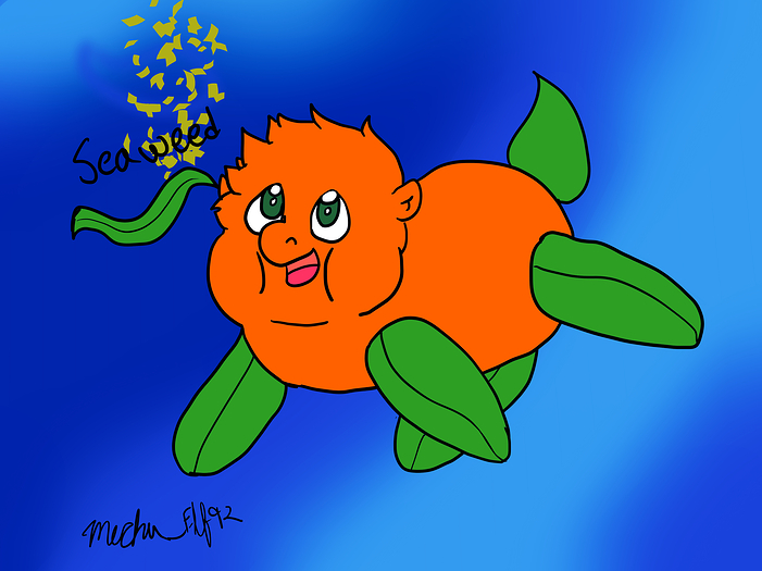 seaweed