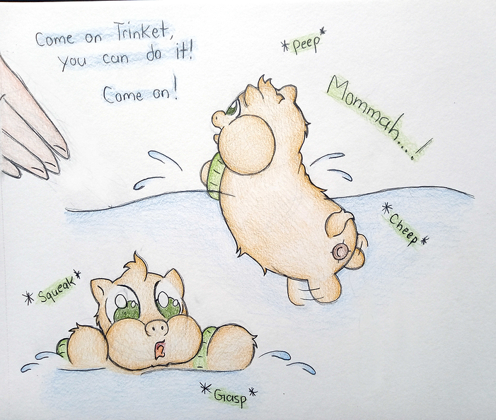 IMG_20260212_080244575