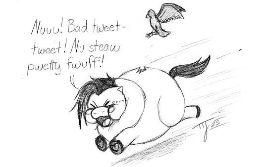 BirdVSFluffy