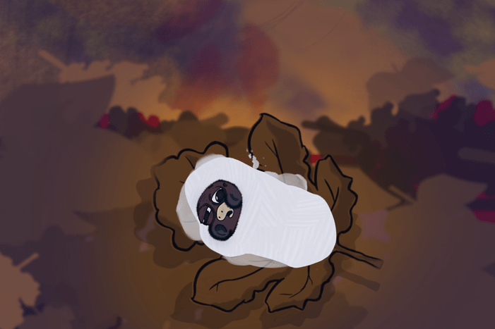 e062113f-59d5-414c-b900-338cdf3f6d51