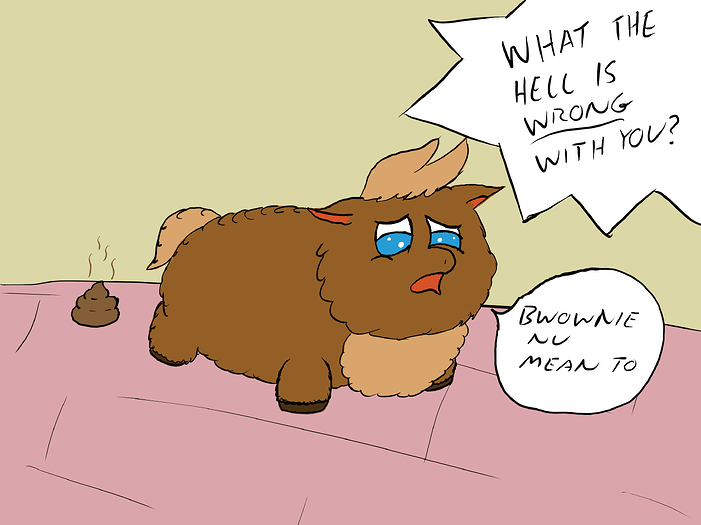 Brownie accident