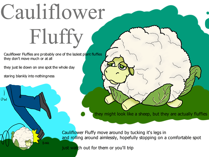 cauliflower fluffy