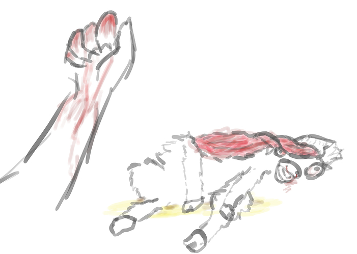 FlufInt3