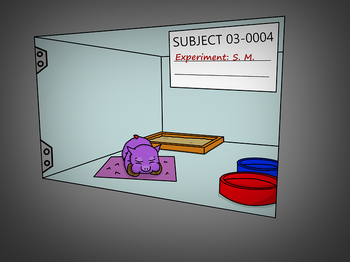 subject_03-0004
