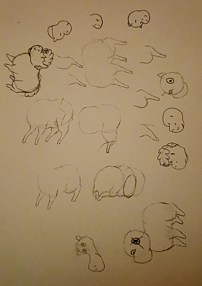 IMG_20260305_174722750