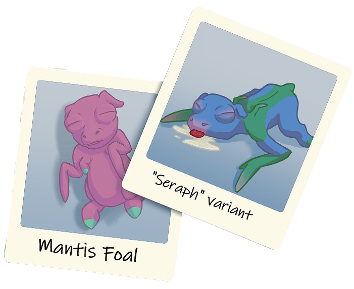 mantisfoalphoto