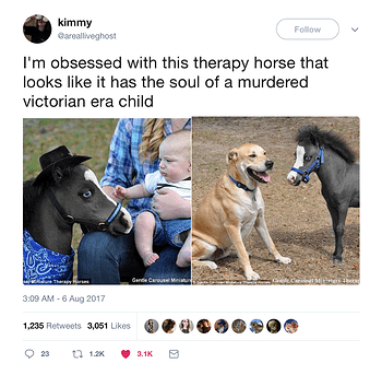 miniature horse with the soul of a victorian child