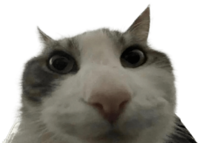 87yg19