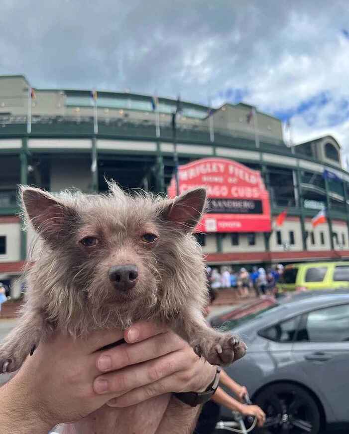 RDT_20240727_2324596111241605471785619