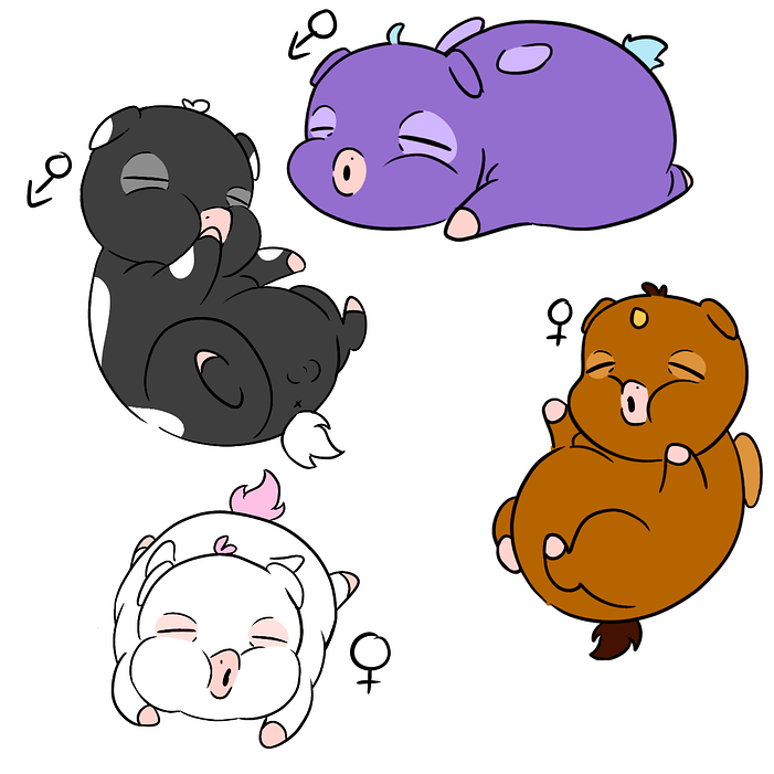 Icantbelieveimdoingthis FluffyPonies_20260330180318