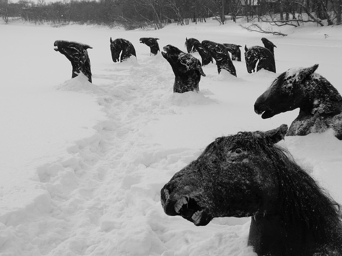 mywinnipeg_horses-trapped-in-the-frozen-river