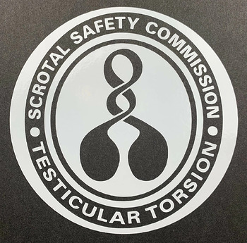 Ttorsion