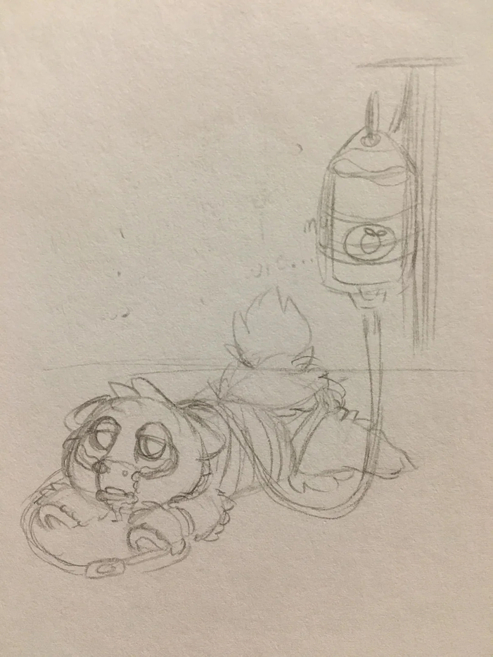 06