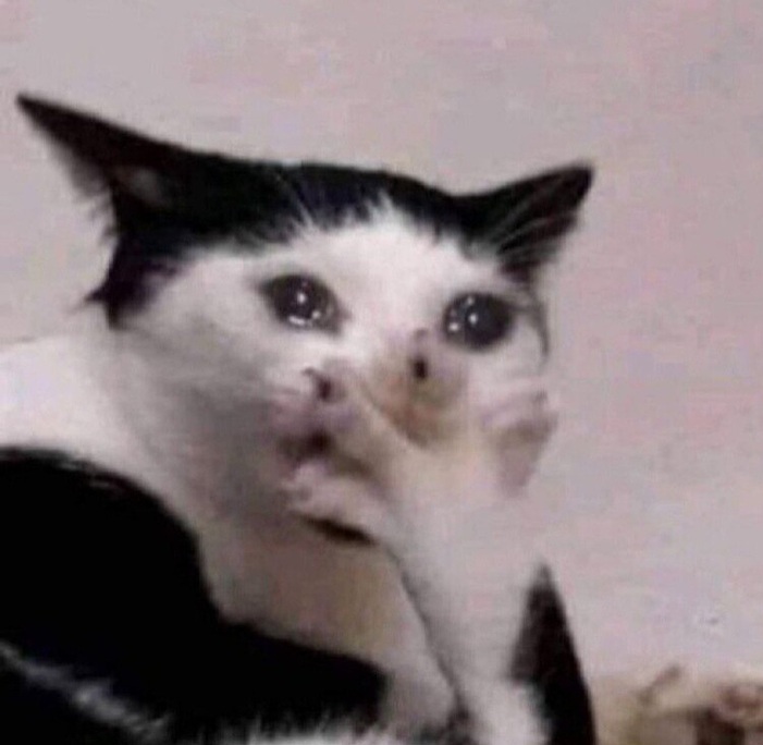 crycat