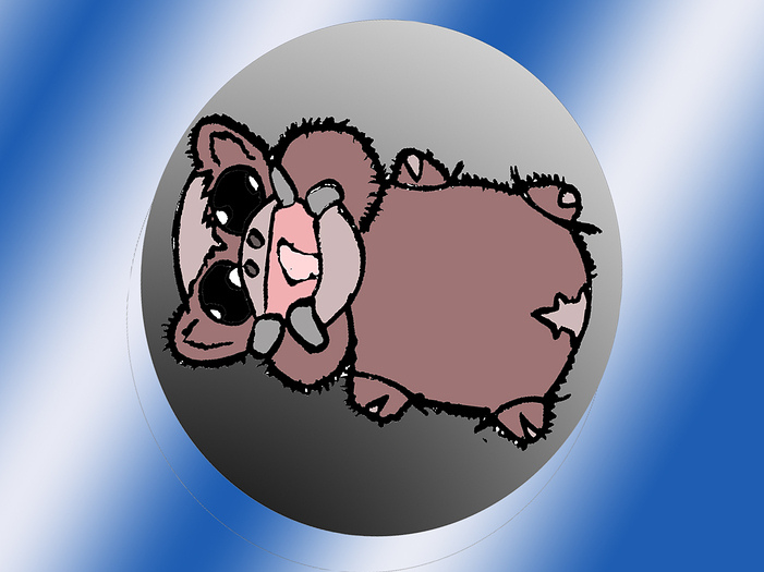 lpph pooper training4