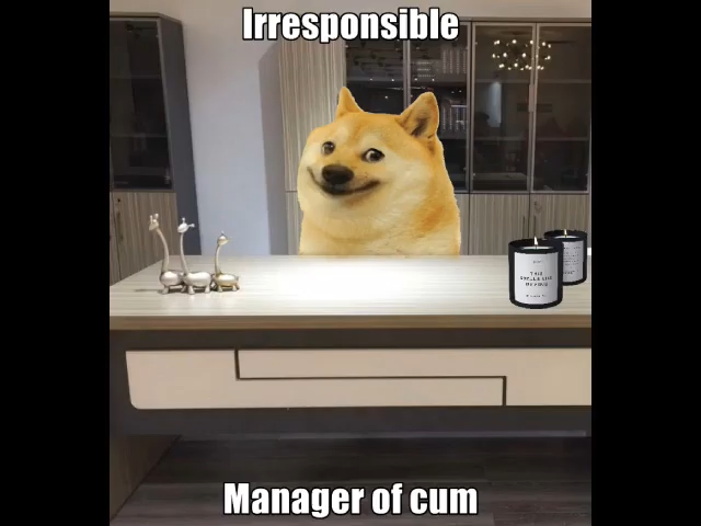 your cum wont last(doge edition) full version 2-10 screenshot