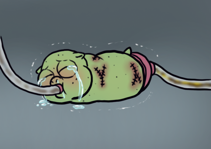 Chirpie Cries 9 6-17-2025