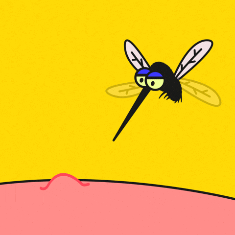 giphy