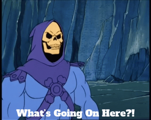 skeletor-whats-going-on-here